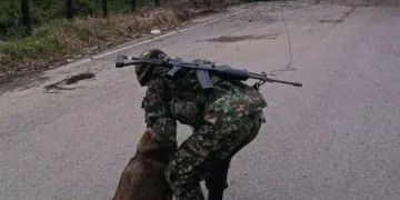 Ejército Nacional neutralizó acción terrorista del GAO ELN en la vía Cúcuta – Tibú
