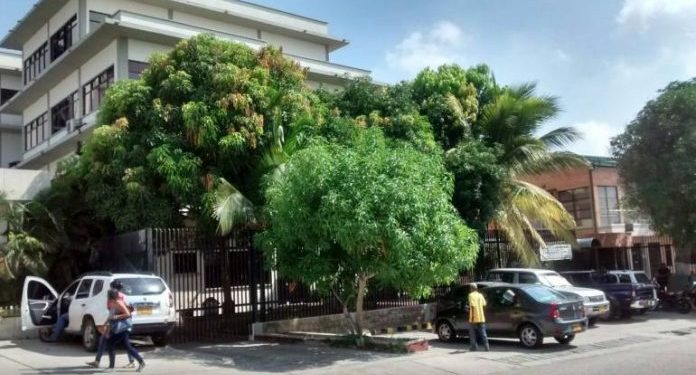 Ultimado vigilante a manos de sicarios en zona enmontada de Los Cristales, en Malambo