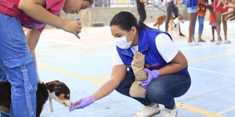 Cerca de 1,000 perros y gatos vacunados en jornada de vacunación en Malambo
