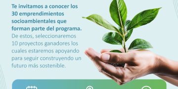 Este martes, presentación de 15 emprendimientos socioambientales del programa Innova Social 3.0.
