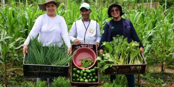 GenerActor en la COP16: Primera cosecha en el Parque Productivo Huerta Comunitaria Las Gardenias