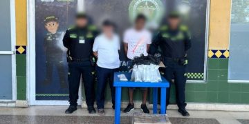 Capturados en la Terminal de Transportes de Cartagena con 143 especies marinas en vía de extinción