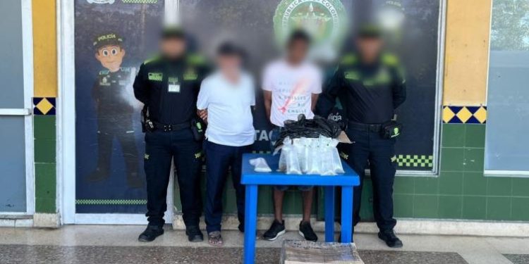 Capturados en la Terminal de Transportes de Cartagena con 143 especies marinas en vía de extinción
