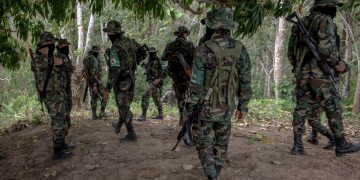 Descubren alianza criminal entre cabecillas del ‘Clan del Golfo’ y algunos integrantes de la fuerza pública para traficar armas y evadir la acción de las autoridades