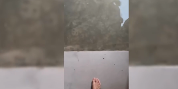 La casa de los Lewandowski, afectada por la DANA en Barcelona