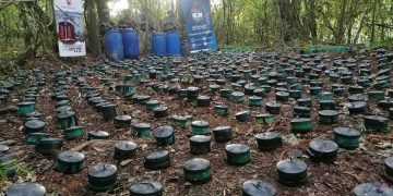 Ataques con minas antipersona se duplicaron por disidencias de las FARC