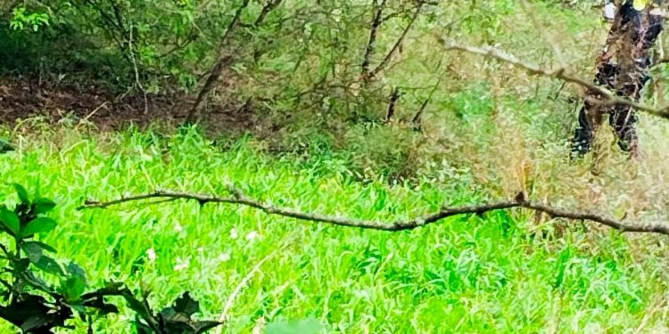 Cadáver de un hombre fue hallado en zona rural de Candelaria