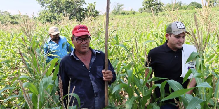 Gobernación del Atlántico entrega kits de semillas para mejorar productividad y ampliar su potencial agrícola