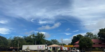 Cerca de dos toneladas de marihuana es incautada por el Ejército Nacional en La Guajira