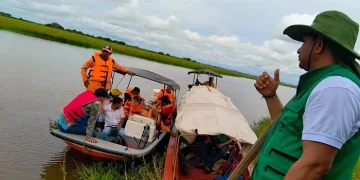 Continúa la búsqueda de 73 caimanes fugados en Sucre tras fuertes lluvias