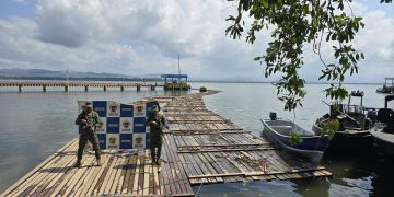 Armada de Colombia incautó más de 96 metro cúbicos de madera ilegal 