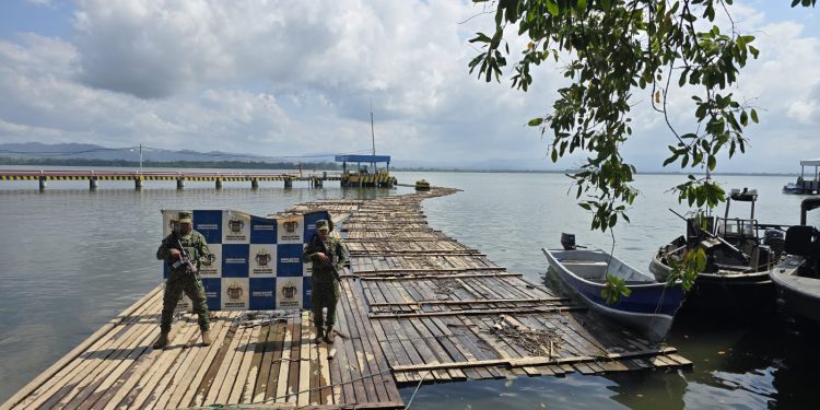Armada de Colombia incautó más de 96 metro cúbicos de madera ilegal 