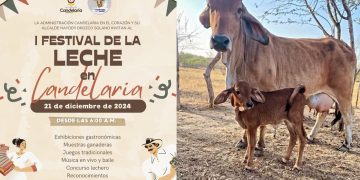 La pureza de la Navidad presente en el I Festival de la Leche en Candelaria