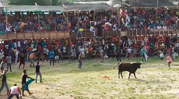 Gobernación de Antioquia pide a Caucasia y municipios que hacen corralejas respetar la ley