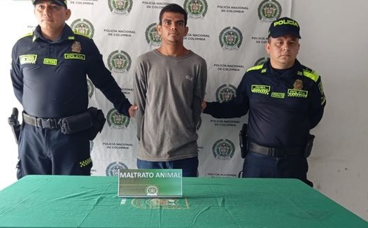 Hombre fue capturado por matar a un perro en Ponedera