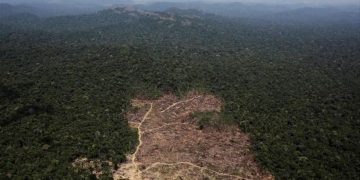 Procuradora alerta incremento del 223% en la deforestación de la Amazonía y su vinculación con grupos ilegales