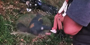 Fatal accidente de tránsito en la vía Sabana Larga-Manatí deja una víctima mortal