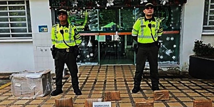 Incautan 10 kilos de marihuana en la vía a Juan Mina