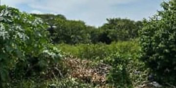 Encuentran el cuerpo sin vida de una mujer en Baranoa: Se investiga homicidio