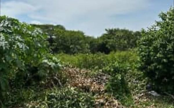 Encuentran el cuerpo sin vida de una mujer en Baranoa: Se investiga homicidio