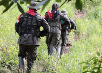 Eln secuestra a 20 personas en el corregimiento de Aserrío, en Teorama, Norte de Santander