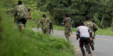 Defensoría del Pueblo pide a ELN y EMC cese a enfrentamientos en el Catatumbo