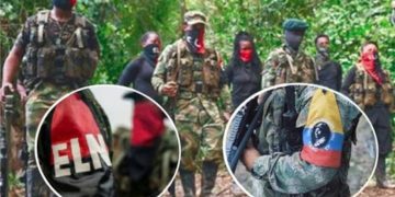 Hallan 13 cadáveres en Teorama, presuntos miembros del Frente 33 de las Farc