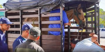 Autoridad incauta un vehículo de tracción animal en Barranquilla