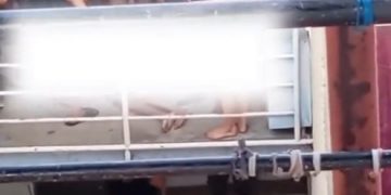 Doble crimen en el Conjunto 3 de Las Gardenias: sicarios irrumpen en un apartamento en Barranquilla