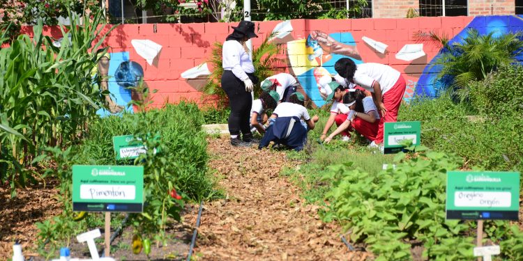 Barranquilla, ejemplo de formación ambiental para los ciudadanos