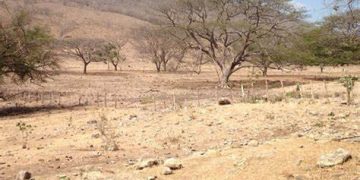 Ideam: temporada de menos lluvias se extendería hasta marzo con 216 municipios en alerta roja