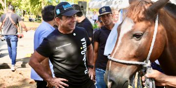 Con sustitución de vehículos de tracción animal le damos paso a una mejor calidad de vida a los animalitos y sus conductores: alcalde Char 