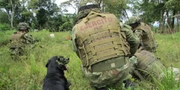 Intensos combates en Arauquita dejan secuestro de seis personas en medio de enfrentamientos