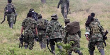 Procuraduría General de la Nación condena actos de barbarie perpetrados en el Catatumbo