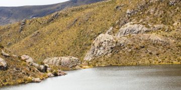 Gobierno sigue incumpliendo sentencia sobre el Páramo de Santurbán: Informe de la Procuraduría y Defensoría denuncia grave desinterés y consecuencias ambientales