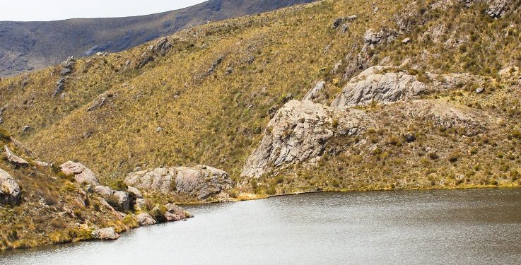 Gobierno sigue incumpliendo sentencia sobre el Páramo de Santurbán: Informe de la Procuraduría y Defensoría denuncia grave desinterés y consecuencias ambientales