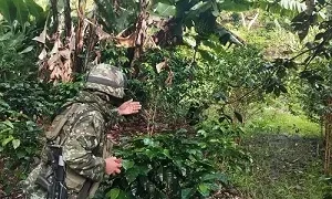 Ejército Nacional neutraliza artefactos explosivos a menos de 200 metros de la vía Panamericana en Nariño