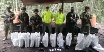 Laboratorio de permanganato de potasio fue destruido en operación del Ejército en el Guaviare