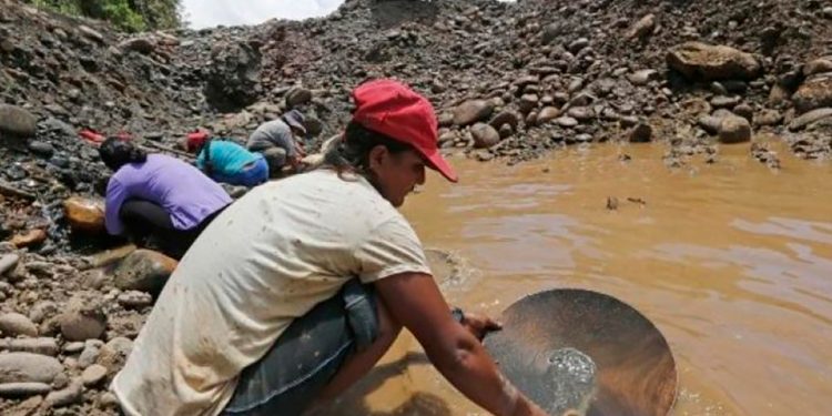 Agencia Nacional de Minería formalizó 447 pequeños mineros en enero de 2025