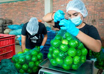 Producción agropecuaria, financiamiento, abastecimiento de alimentos y prevenir el despojo, medidas clave del sector agro en el Catatumbo