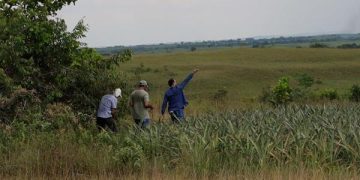 Presuntas irregularidades: los hallazgos en compra de predios para la Reforma Agraria