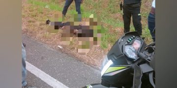 Sin vida fue hallado el cuerpo de un hombre en la Cordialidad, cerca de Campeche