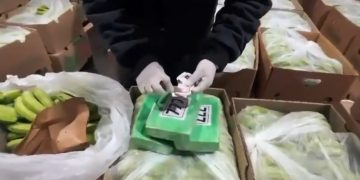 Incautan 1.6 toneladas de cocaína con marquillas religiosas en el Puerto de Cartagena