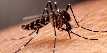 Debido al aumento de casos de dengue en el Cesar, Procuraduría pregunta a las autoridades por las medidas de contingencia