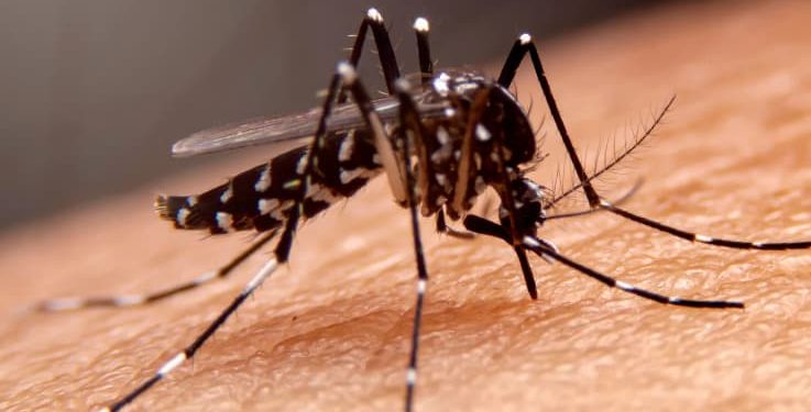 Debido al aumento de casos de dengue en el Cesar, Procuraduría pregunta a las autoridades por las medidas de contingencia
