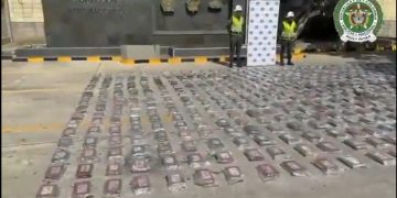 Cayó cargamento de cocaína con destino a Alemania: 600 kilos incautados en Cartagena