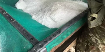 Ejército Nacional ubica un laboratorio para el procesamiento de clorhidrato de cocaína