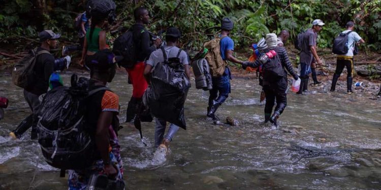 Procuraduría General de la Nación alerta por persistencia en los riesgos contra los derechos humanos de la población migrante