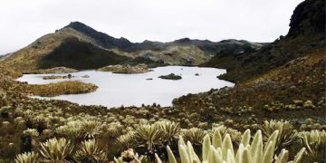 Procuraduría plantea observaciones claves al proyecto de resolución para declarar zona de reserva en el macizo de Santurbán, Santander
