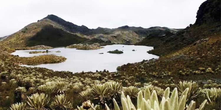Procuraduría plantea observaciones claves al proyecto de resolución para declarar zona de reserva en el macizo de Santurbán, Santander